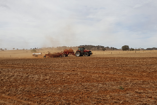 Article image for Rural farmer calls for budget to invest more in farming