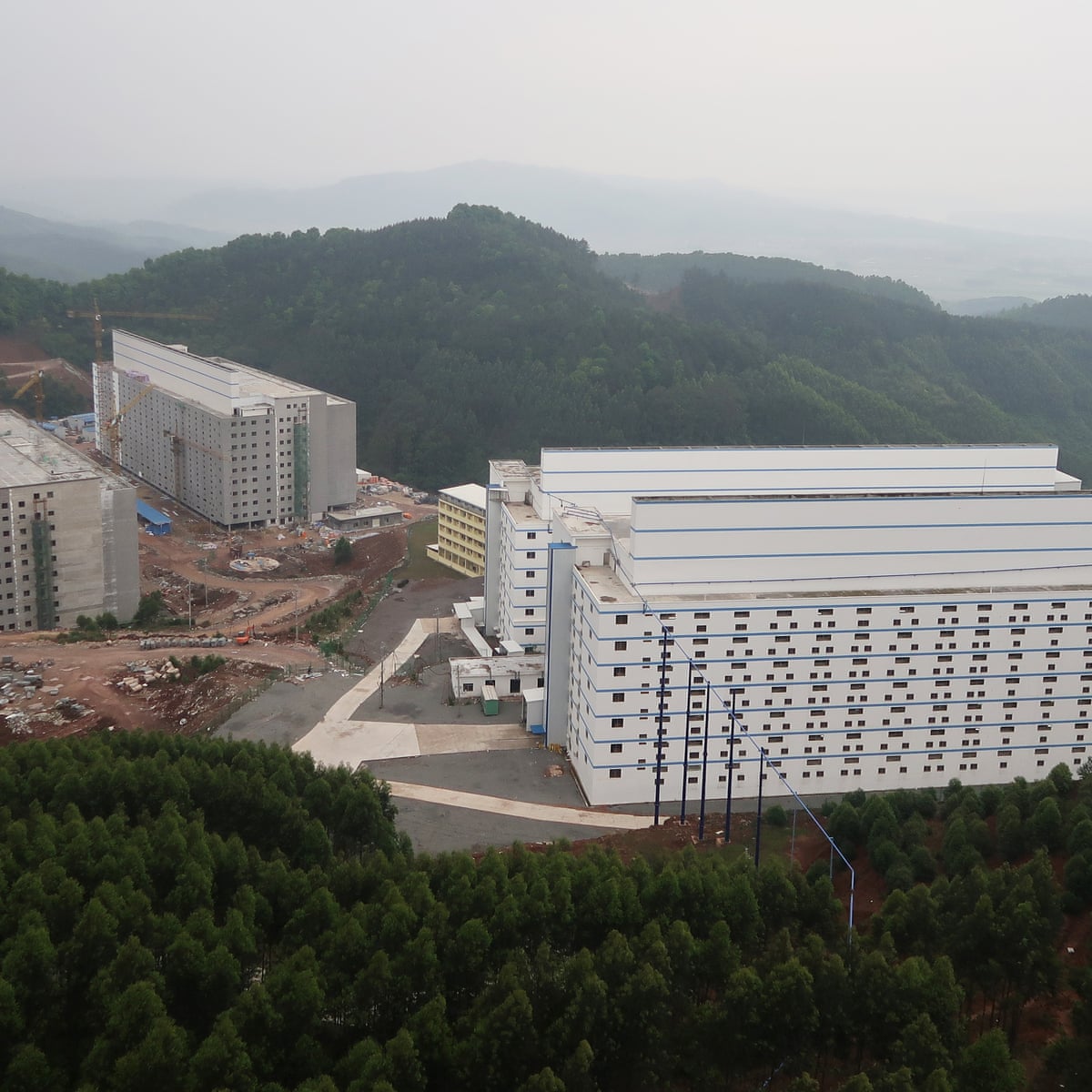 worlds-largest-pig-farm-in-rural-china-4bc