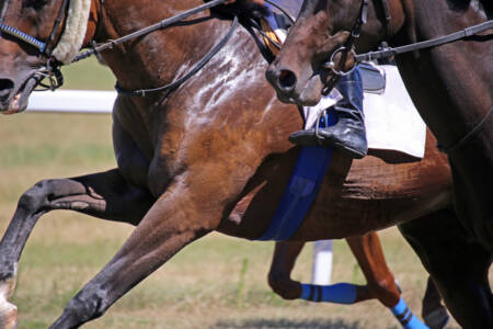 Technology that is helping protect thoroughbreds