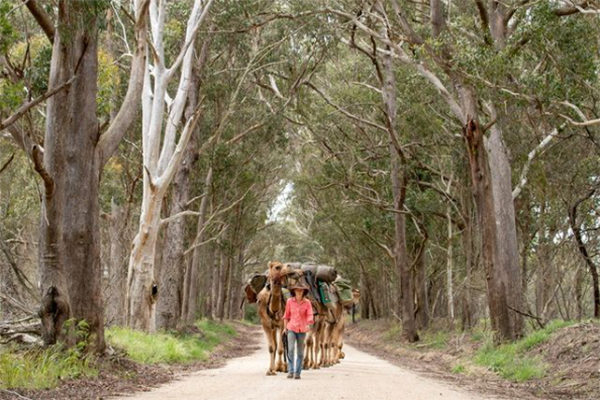 Article image for ‘The end is in sight’ for Sophie Matterson on solo trek across Australia 