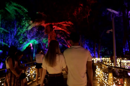 Roma Street Parkland lights up as The Enchanted Garden returns 