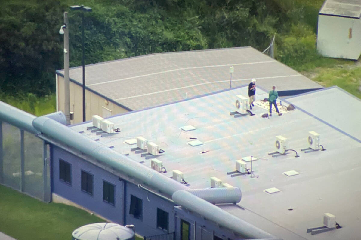 Article image for Heavy police presence as pair scale building at Brisbane Airport