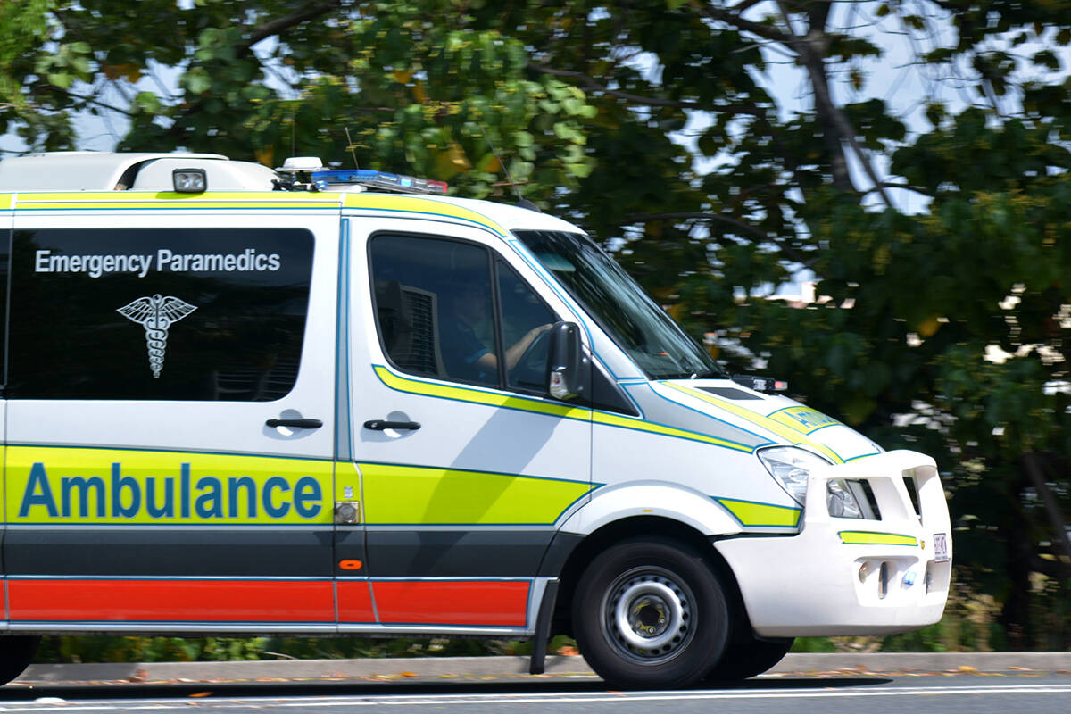 Article image for Toddler rushed to hospital in third dog attack in Qld this week