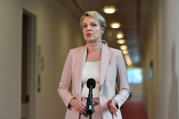 Article image for Tanya Plibersek addresses media report of mistreatment of late Labor senator