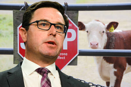 Is Labor doing enough to keep foot & mouth disease out of Australia?