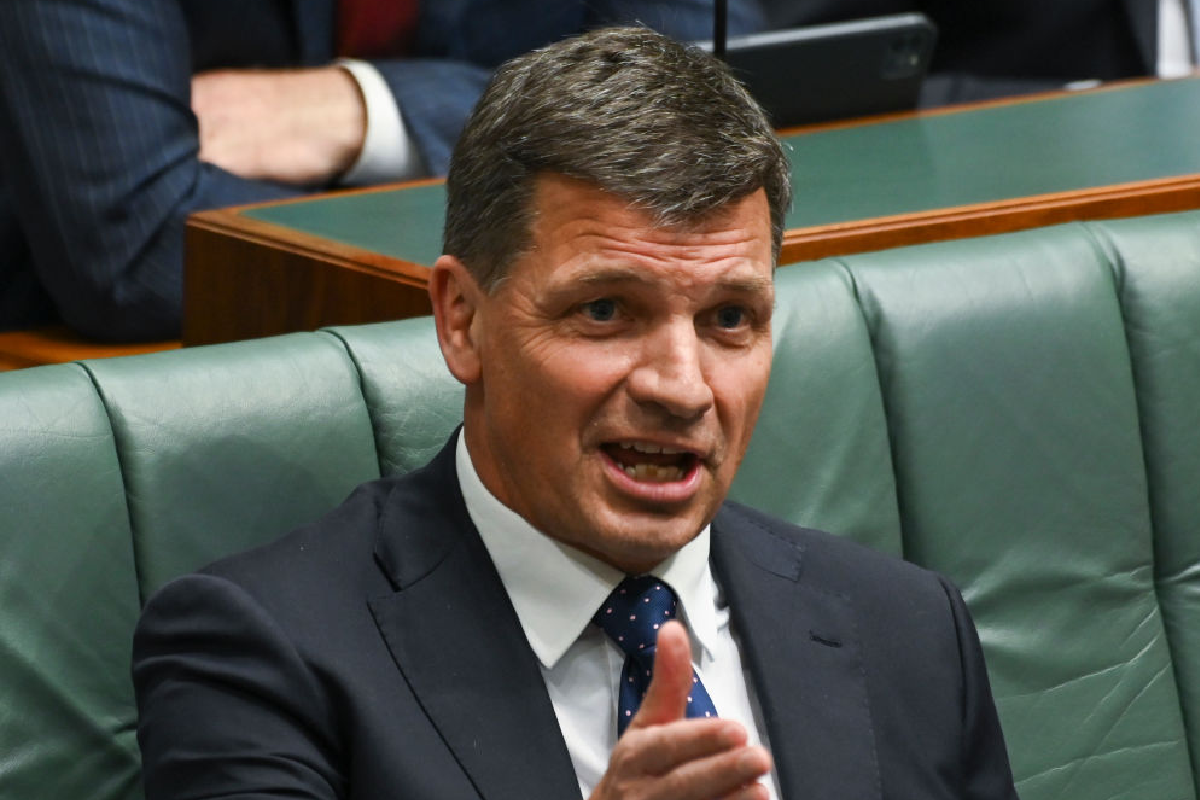 Article image for ‘Goosed himself!’: Angus Taylor’s repeated slip up during speech