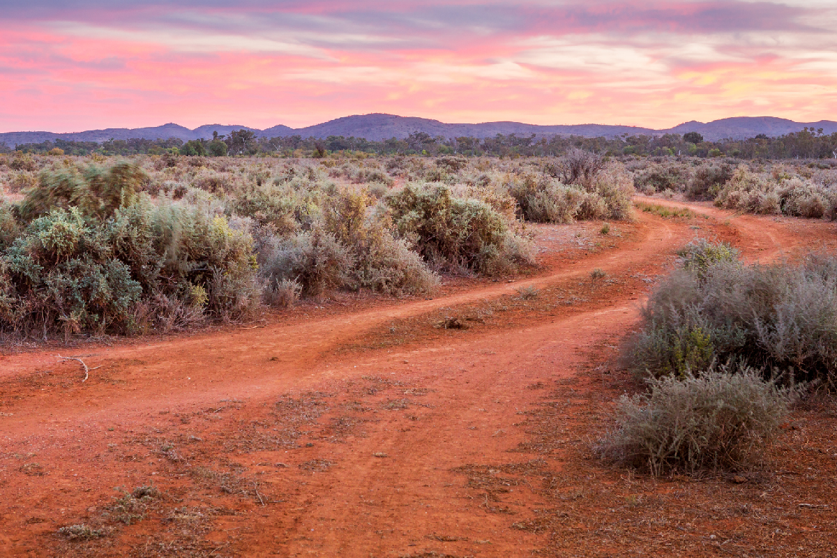 Article image for The stand-out message from Australia’s state of environment report