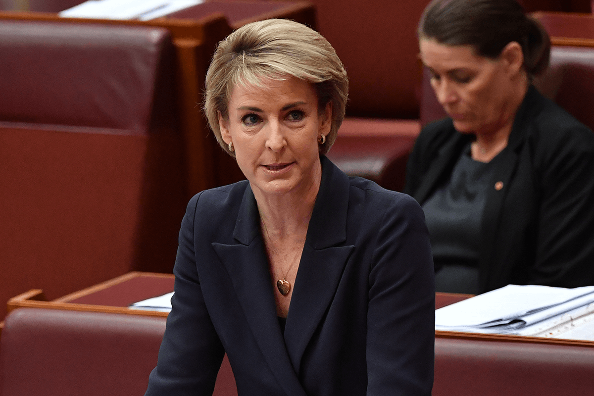 Article image for Michaelia Cash warns of ‘chaos and lawlessness’ if ABCC is scrapped