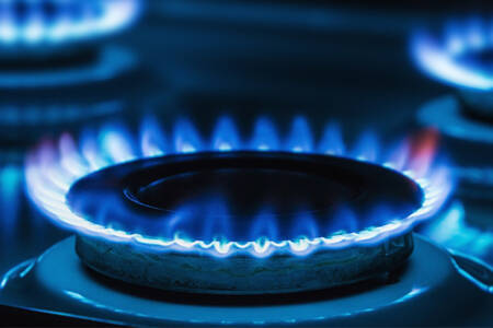 Gas crisis sparks ACCC warnings