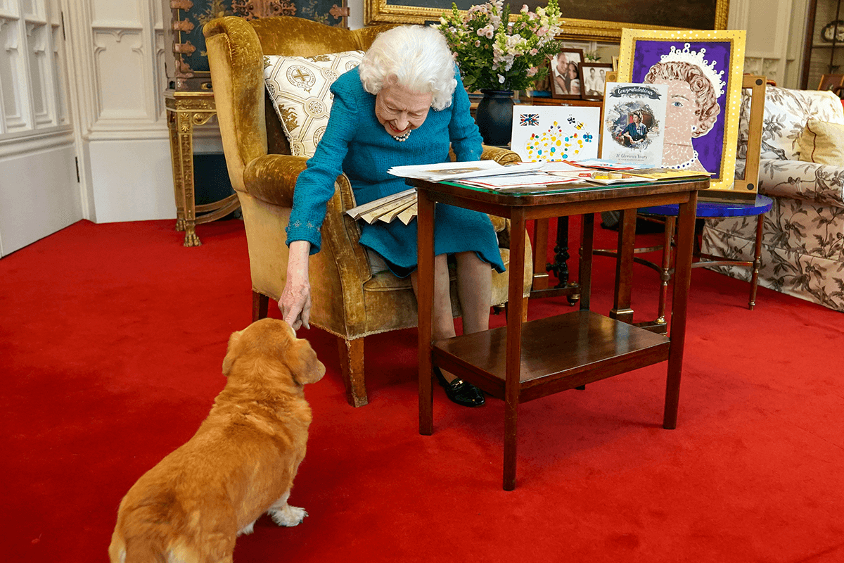 Article image for Who will inherit Queen Elizabeth’s two corgis, Muick and Sandy