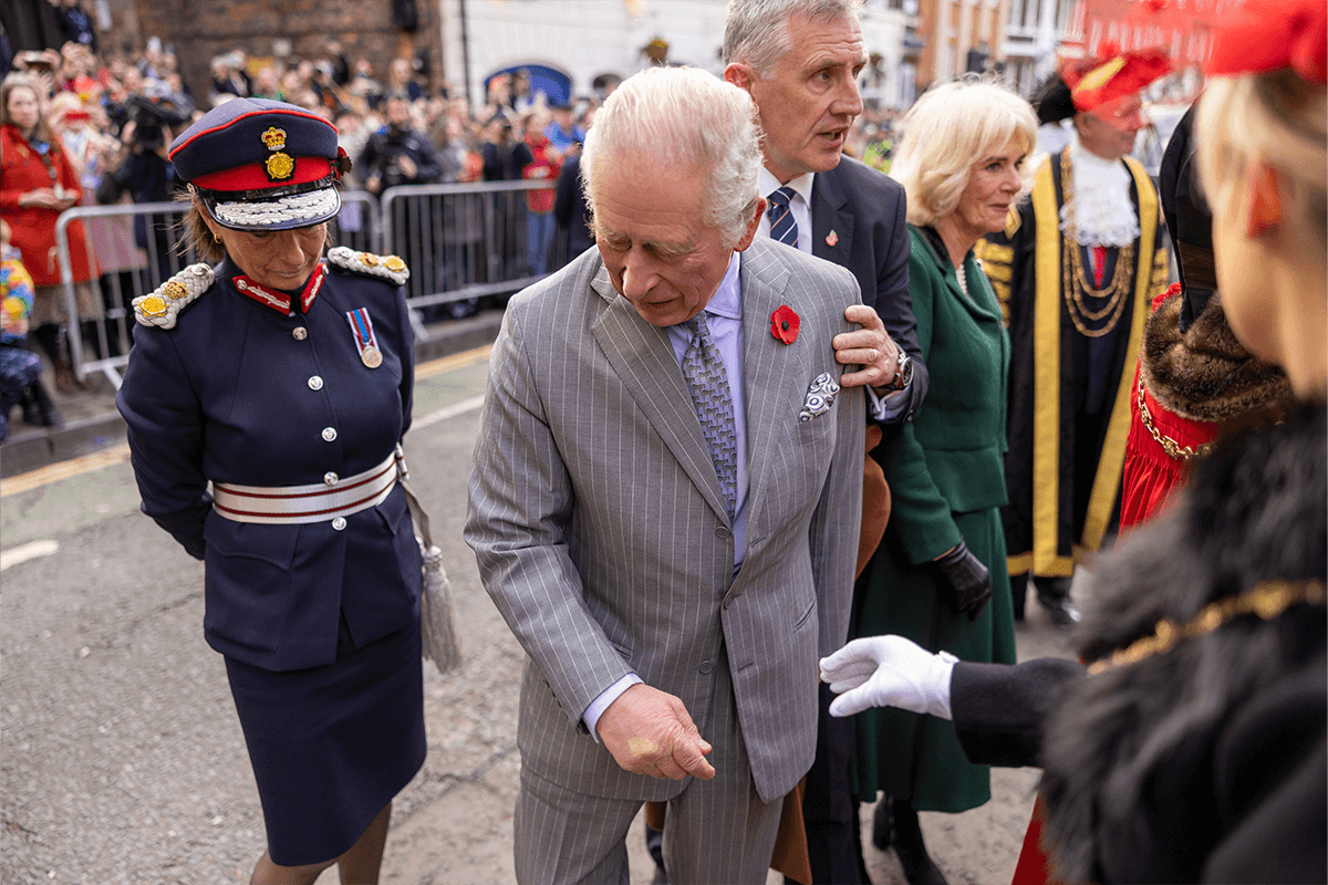 Article image for Uni student detained after appearing to throw eggs at King Charles III 