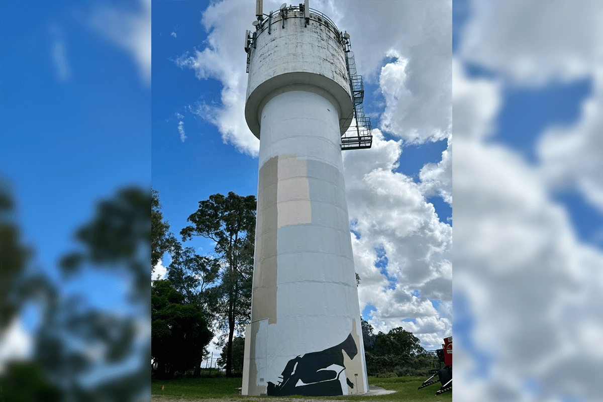 Article image for The striking facelift set for Park Ridge Water Tower