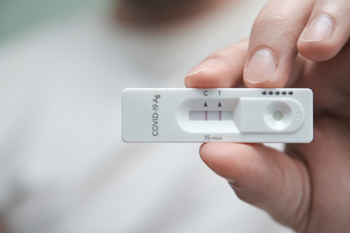 Article image for Explained: How you can test to check if you’ve ever had COVID-19