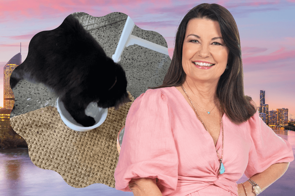 Article image for ‘I think she’s deranged!’: Laurel’s cat has developed a naughty new habit 