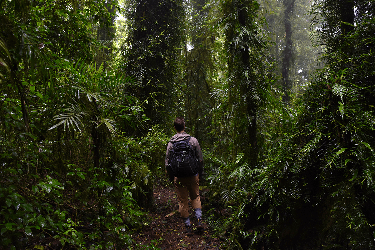 Article image for Warning to hikers after eight-hour rescue at Binna Burra 