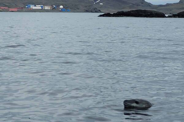 GALLERY | Ice to see you! Gary Clare shares snaps from Antarctica