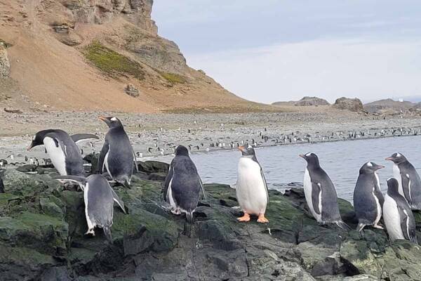 image-gary-clare_antarctica_13