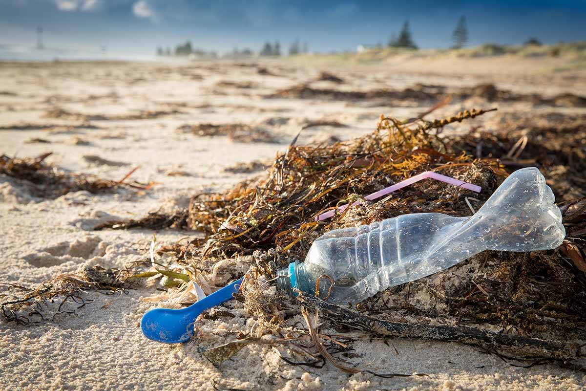 Article image for The kind of litter found more in Qld than any other state