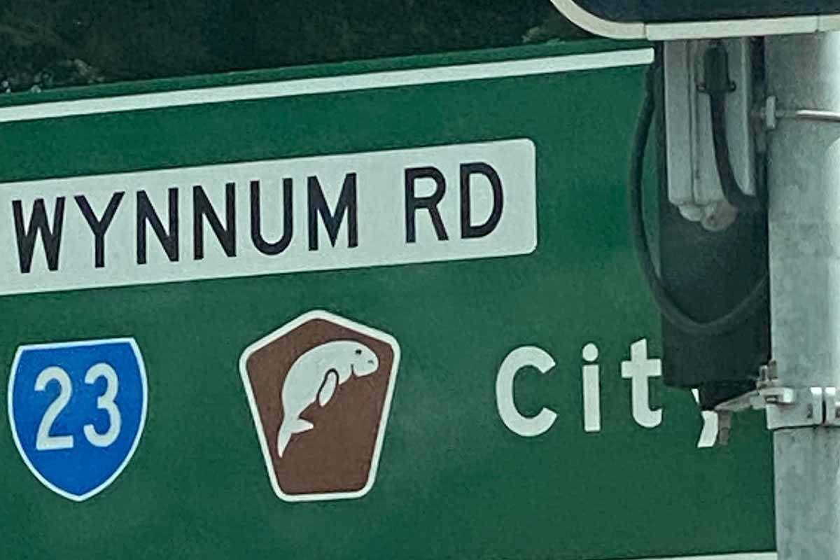 Article image for Why there’s a dugong on some Brisbane road signs 