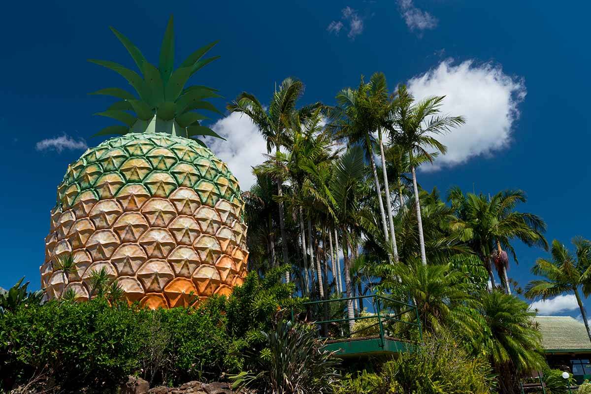 Article image for Big Pineapple site to be redeveloped as legal battle ends