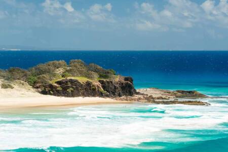 ‘A cause for concern’: Dangerous pest spreads to Stradbroke Island