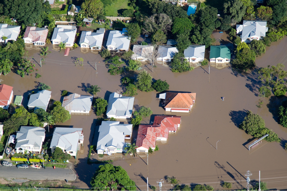 Article image for Expert weighs in on calls to ban construction in floodplain areas