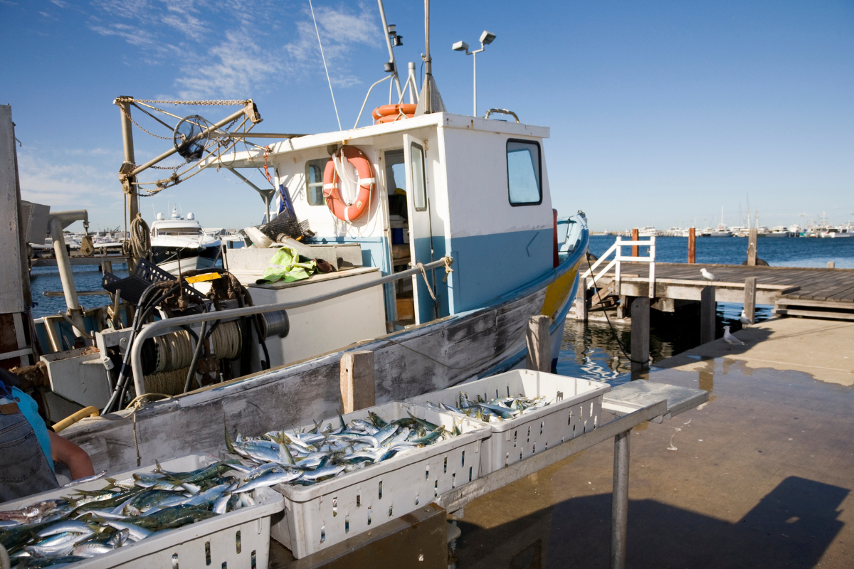 Article image for Government hold secret meeting on expanding commercial fishing bans