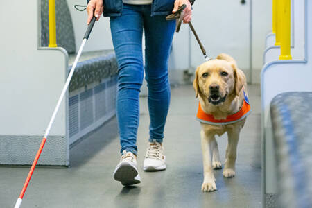 Petbarn Foundation aims to raise $1M for seeing eye dogs training