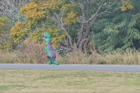 ‘What am I doing’: The bloke hoping to break a Guinness World Record as a dinosaur