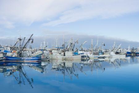 ‘Far from the truth’: Fisherman refutes Mark Furner’s claim the fishing industry is healthy