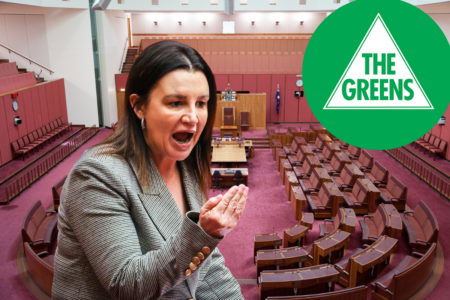 ‘They’ve put us a year behind’: Lambie on the Greens finally backing Labor’s housing bill