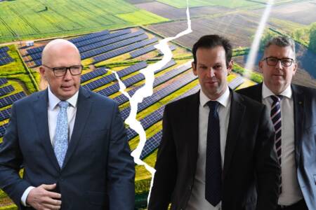 Stoush brewing within the Coalition over Dutton’s support of Net Zero by 2050