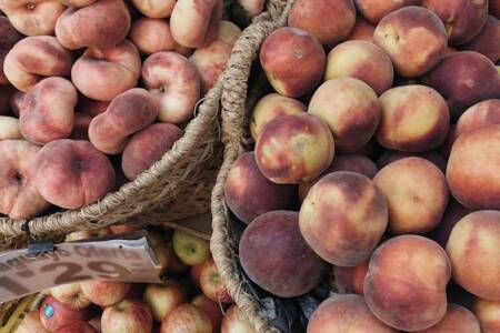 Summer fruit harvest off to a flying start