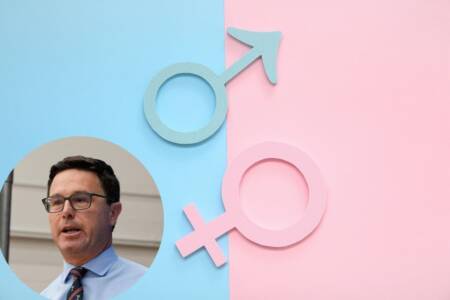 ‘There are two’: David Littleproud calling for some ‘common sense’ in gender debate