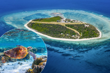 ‘Absolute gem’: Queensland Island crowned the best snorkeling destination in the world