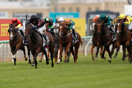 ‘Fingers crossed’: Magic Millions’ repaired track passes gallop test but rain on the way