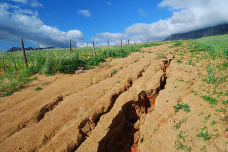 Experts raise the alarm on soil degradation