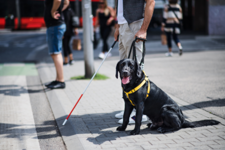 ‘Just drove straight off’: Guide dog users denied service by rideshare drivers