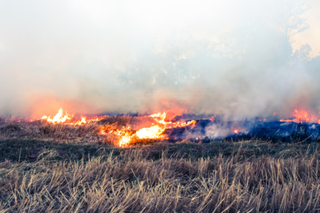 Brisbane City Council begins early planned burns to tackle fire risk