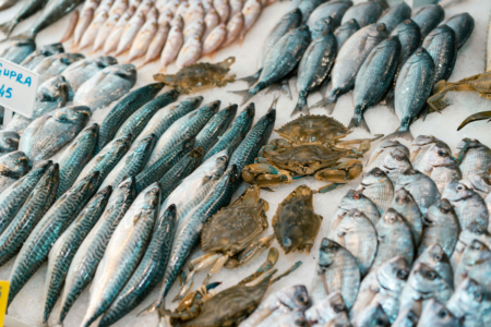 Fishing industry urges government to fulfill pledge on seafood origin labels