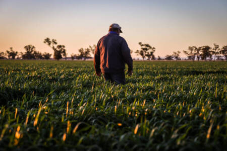 ‘The government isn’t doing enough’ – Farmers call for greater support for Aussie food production