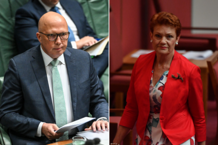 ‘Australians will live in fear’: Pauline Hanson reveals stance on Peter Dutton’s proposed referendum